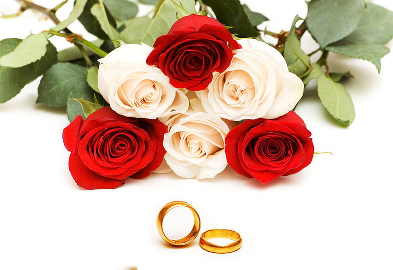 rose white ring, mariage, rose, love, ring, white, wedding, HD wallpaper