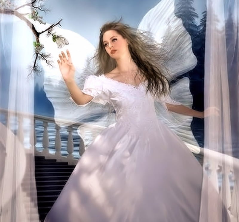 Heavenly Angel Angel White Wings Fantasy Hd Wallpaper Peakpx