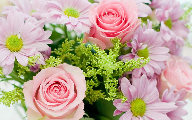 pink roses, background with roses, pink flowers, roses, a bouquet of roses and chrysanthemums, HD wallpaper