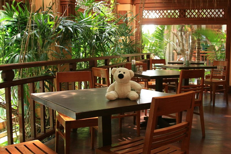 Sweet Welcome, veranda, hotel, holiday, teddy, welcome, travel, bear, interior design, thailand, sweet, HD wallpaper