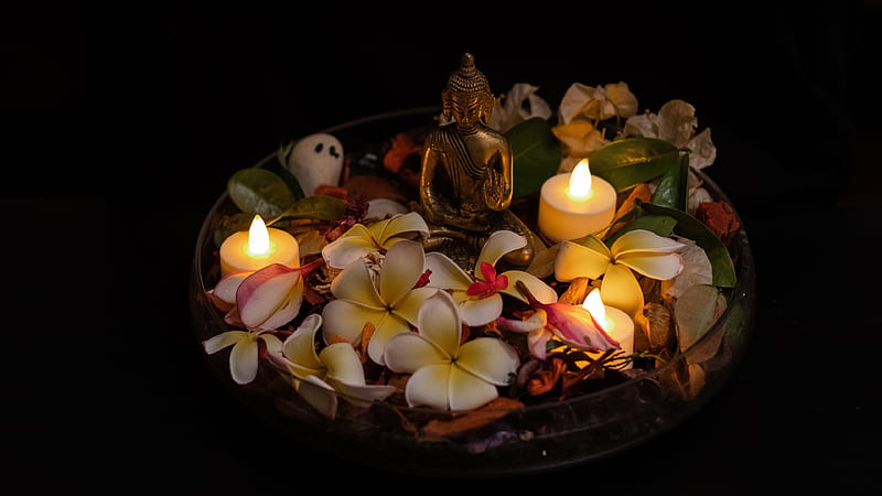 Religious, Buddha, Candle, Figurine, Flame, Flower, Petal, Relax, HD wallpaper