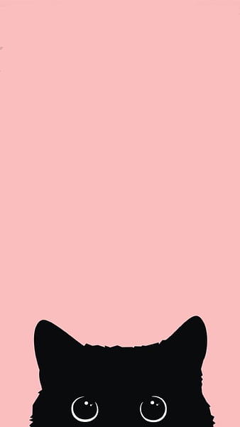 Kedi, hayvanlar, kediler, sevimli, HD phone wallpaper | Peakpx