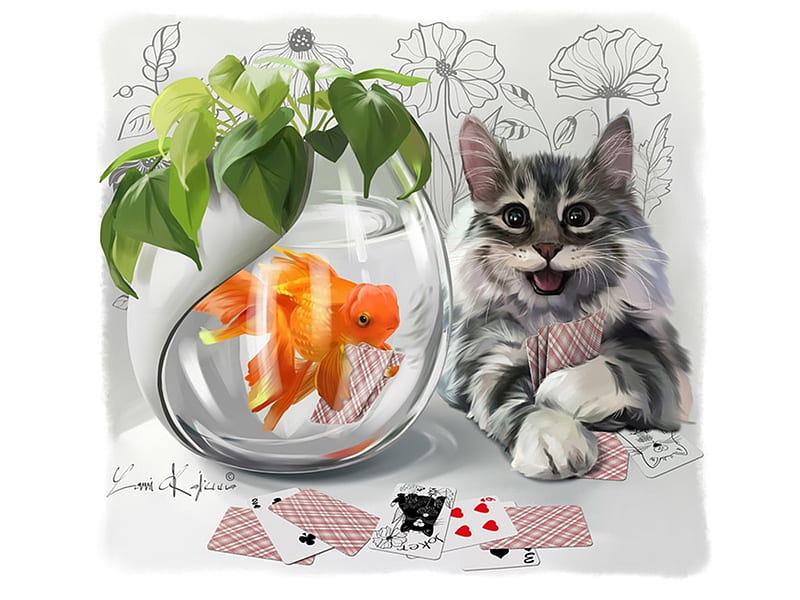 Poker, art, lorri kajenna, fish, cat, animal, fantasy, cards, pisica, HD wallpaper