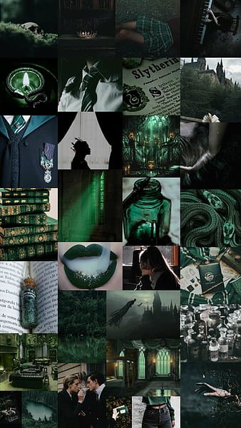 Never Came Easy, asthetic, glory, hogwarts, plant, slytherin, HD phone ...