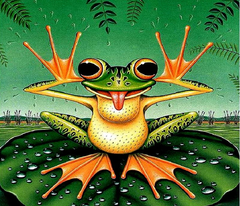 Cute Frog, Cute, Black, Frog, Orange, Green, HD wallpaper
