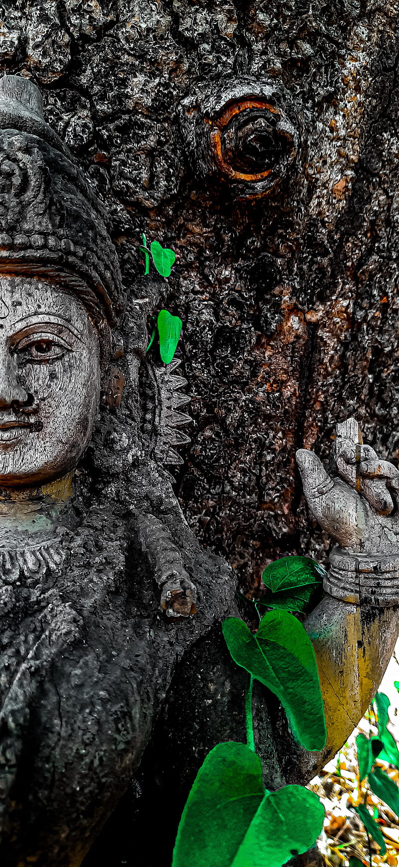 Goddess Lakshmi, spiritual, lakshmi, devi, goddess, HD wallpaper | Peakpx