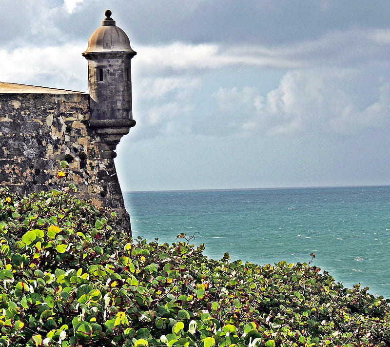 Puerto Rico, nature, san juan, HD wallpaper