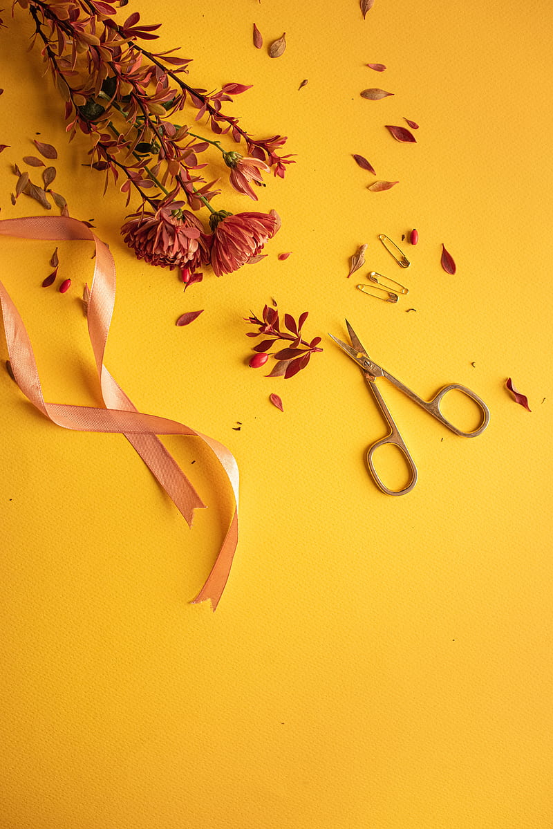 flowers, scissors, pins, ribbon, HD phone wallpaper