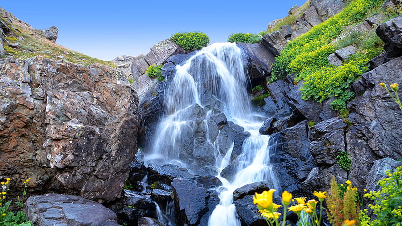 Waterfalls From Rocks Yellow Flowers Plants Under Blue Sky Scenery, HD wallpaper
