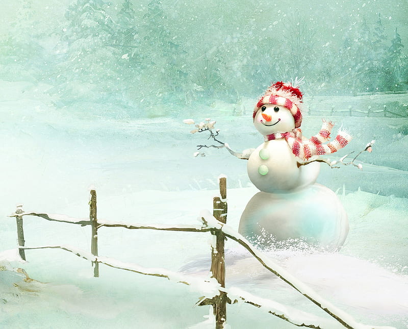 Snowman, beauty, fence ice, snow white, HD wallpaper