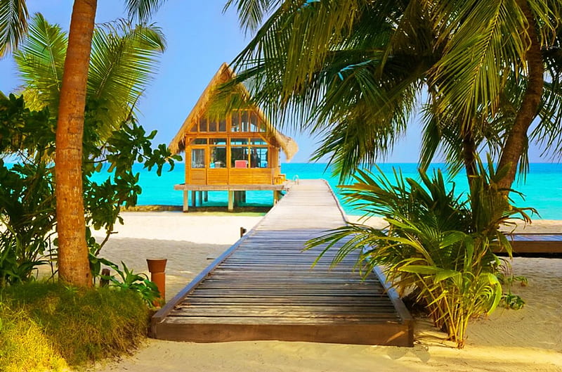 Tropical hut, pretty, hut, shore, breeze, cabin, bonito, sea, beach, tropics, rest, vacation, lovely, ocean, wind, relax, sky, palms, paradise, nature, walk, tropical, sands, coast, HD wallpaper