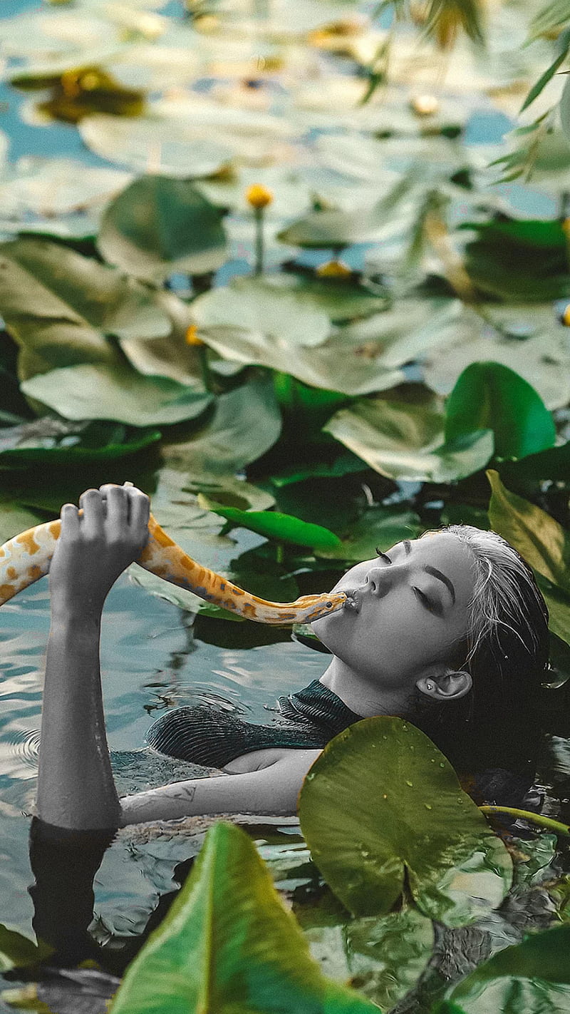 No fear, animal, black and white, black and white, girl, green, green leaves, leaves, snake, water, yellow snake, HD phone wallpaper