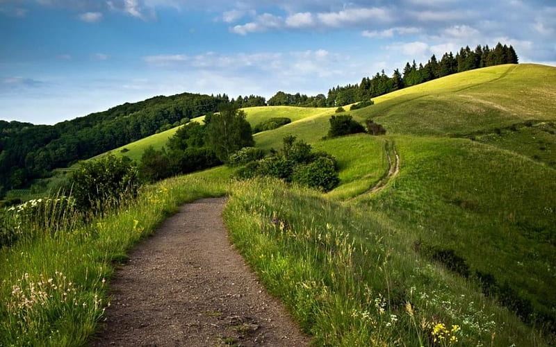 Paths, spring, summer, path, nature, way, road, field, scene, landscape, HD wallpaper