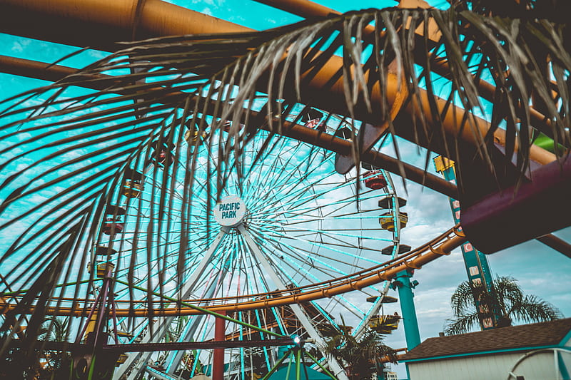 ferris wheel, attraction, palm tree, leaves, HD wallpaper
