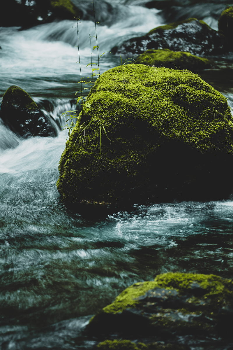 river, stone, moss, water, stream, HD phone wallpaper