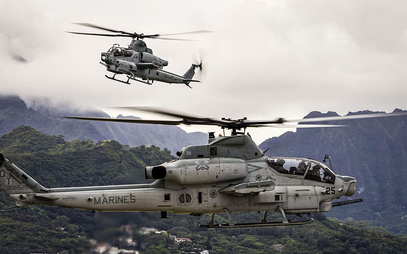 Bell AH-1Z Viper, attack helicopters, combat aircraft, AH-1Z Viper, US Army, Bell, HD wallpaper