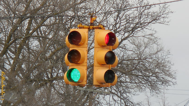 Green Light! Go! :D, green light, green, snowflakes, traffic signal, traffic 1ight, trees, Traffic Signals nSigns, traffic light, HD wallpaper