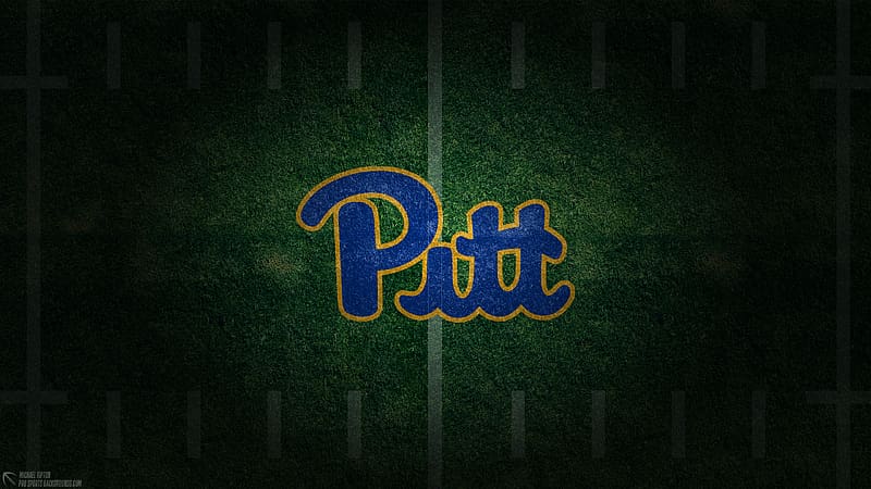 Pittsburgh Panthers, pittsburgh, american football, panthers, HD wallpaper