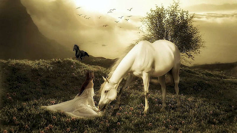Fantasy Dreams, girl, composing, magic, sky, meadow, horses, landscape, HD wallpaper