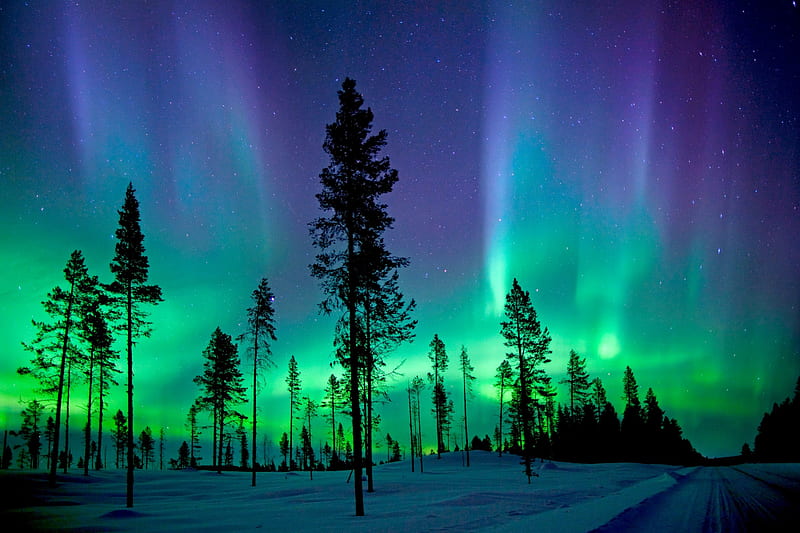 DYNAMIC AURORA, phenomena, aurora, northern, sky, lights, HD wallpaper