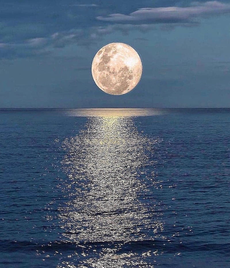 Full moon, moonlight, sea, HD phone wallpaper