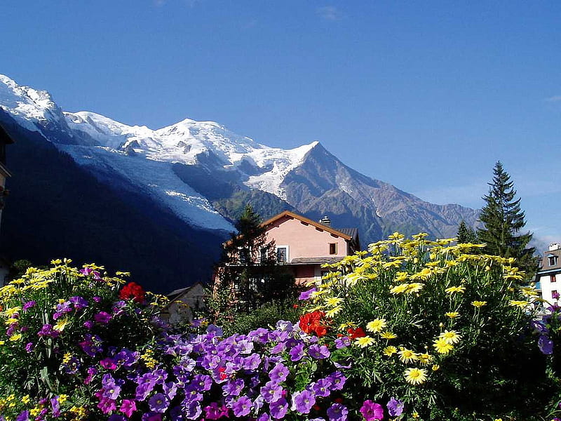 Mont Blanc Trek, French Alps, sky, landscape, house, flowers, blossoms, trees, HD wallpaper