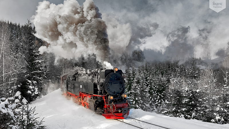 Steamtrain in Harz Mountains, Germany, trees, snow, winter, locomotive, train, railways, HD wallpaper