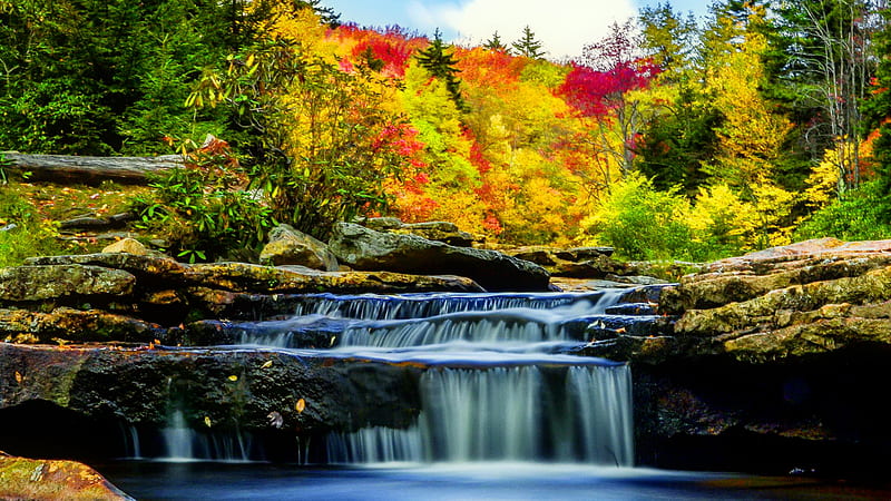 Waterfall Stream On Rock Between Colorful Autumn Trees Nature, HD wallpaper