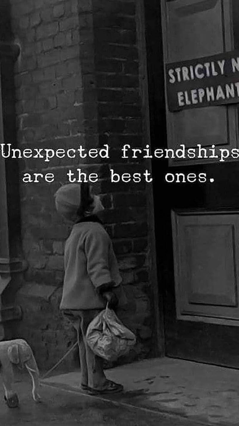 Friendship, unexpected, english, quotes, relationship, HD phone ...