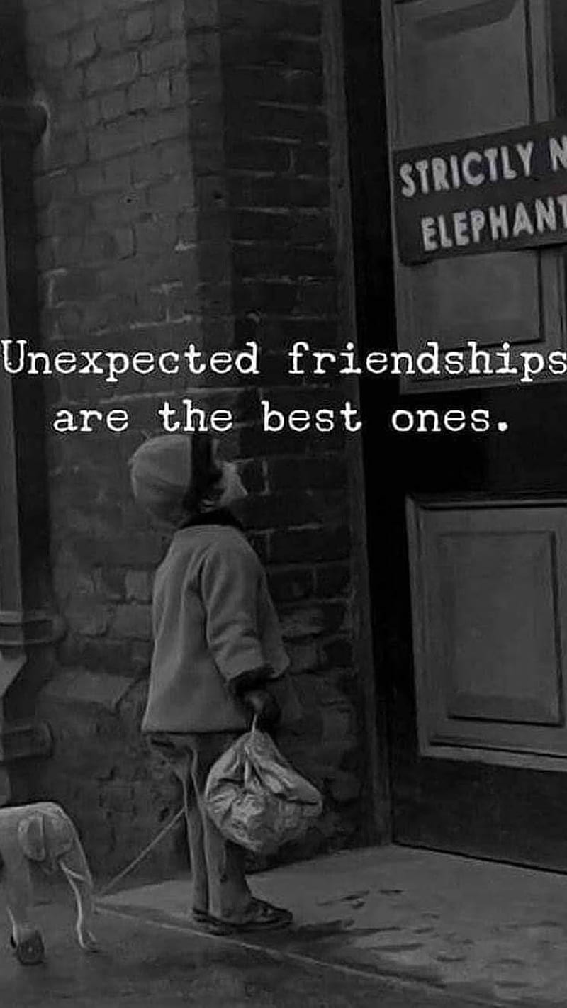 Friendship Unexpected English Quotes Relationship Hd Phone Wallpaper Peakpx 