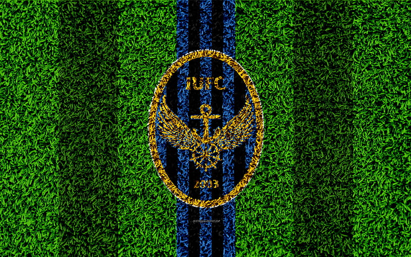 Incheon United FC logo, grass texture, South Korean football club, blue black lines, football lawn, K League 1, Incheon, South Korea, football, HD wallpaper
