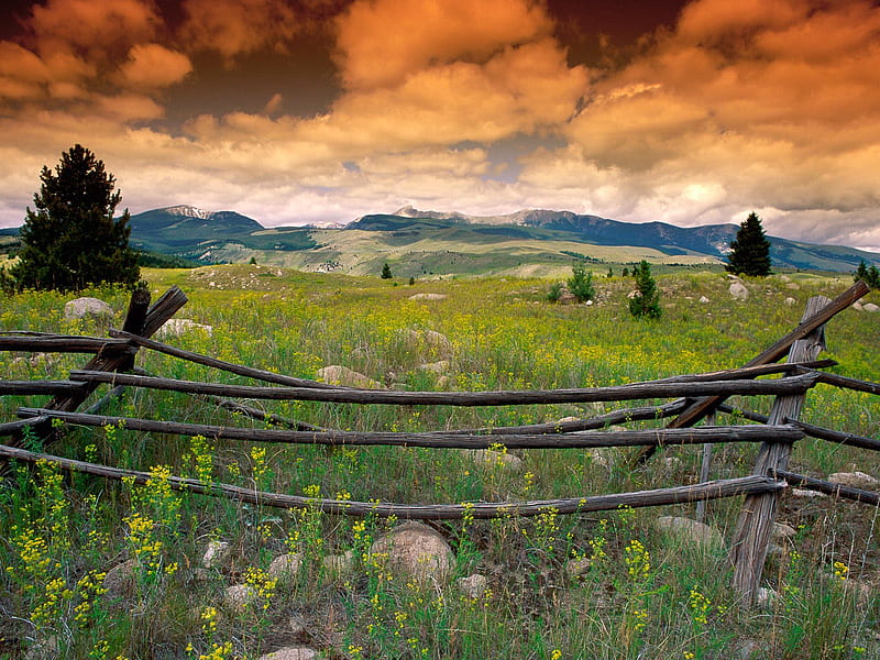 Untitled , flint mountains, wildflowers, montana, HD wallpaper