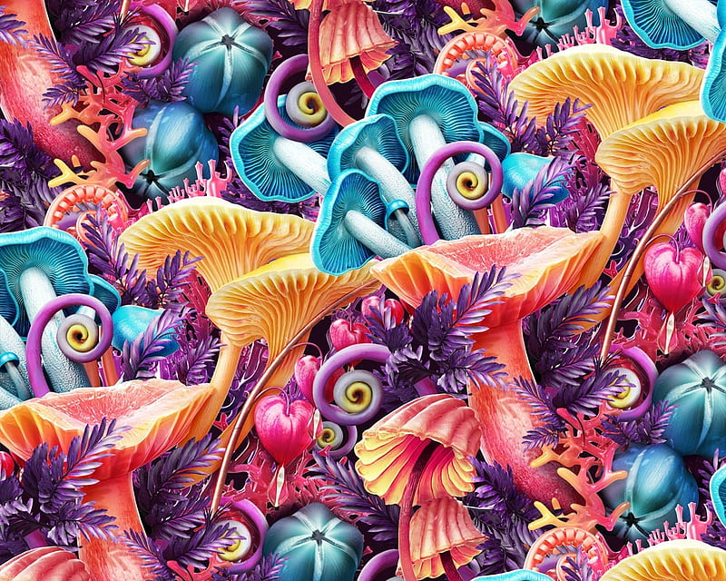 Texture, pattern, colorful, luminos, orange, melaamory, mushroom, coral, summer, paper, pink, blue, HD wallpaper