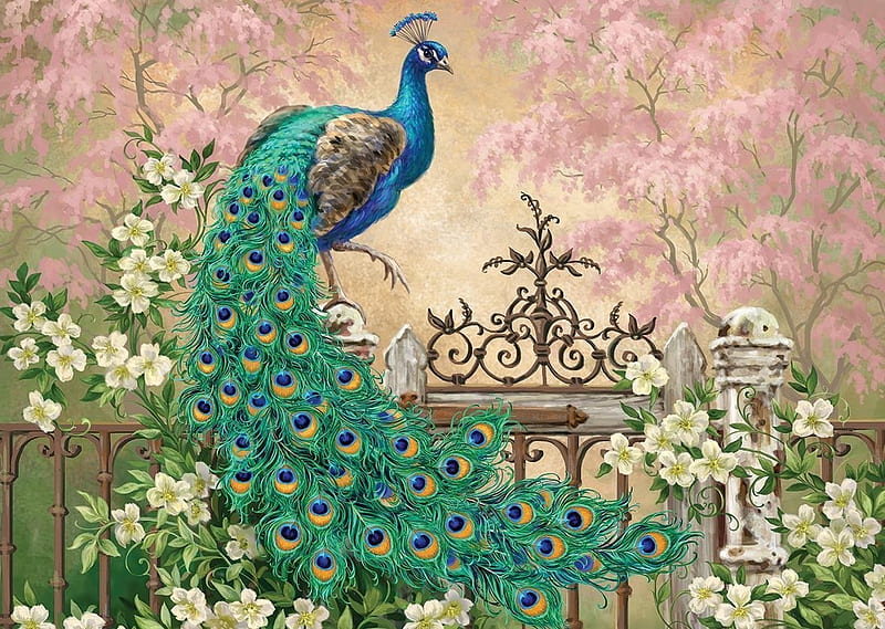 Peacock, feather, paun, pasari, fence, art, luminos, fantasy, bird, flower, white, blue, HD wallpaper