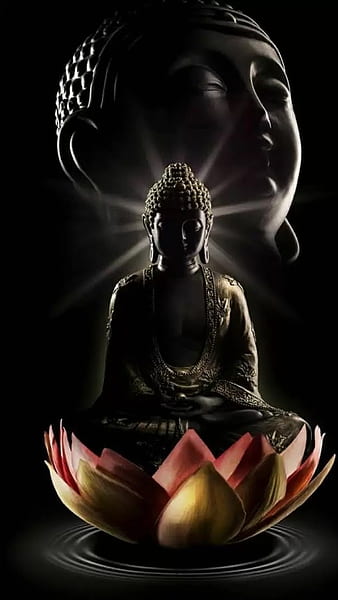 buddha lotus wallpaper