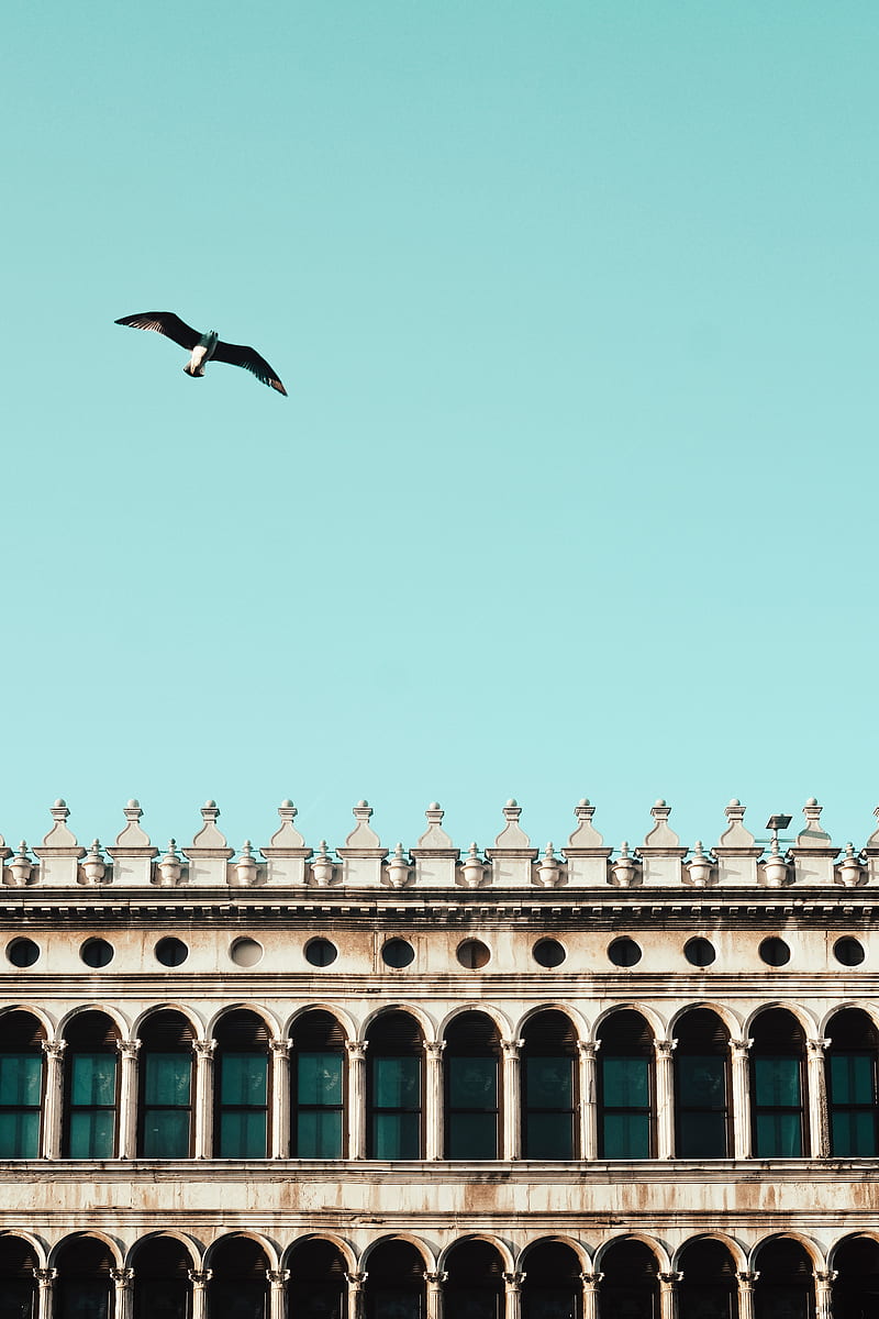 bird, building, sky, minimalism, HD phone wallpaper