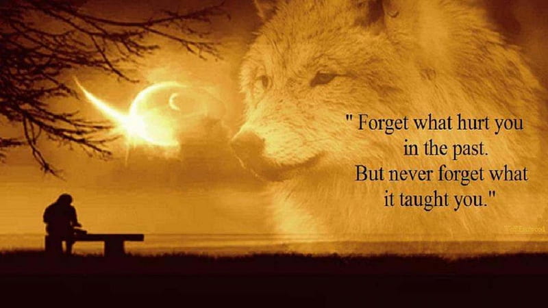 never forget, words, demotivation, animal, quote, quotes, gris, art, arctic, black, abstract, canis, motivation, lupus, wolf, white, howling wolf, wisdom, HD wallpaper