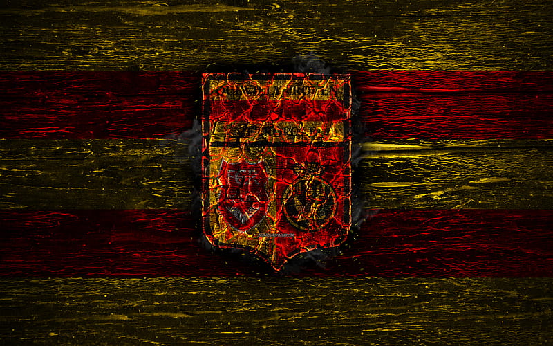 Quevilly-Rouen FC, fire logo, Ligue 2, yellow and red lines, french football club, grunge, football, soccer, US Quevilly-Rouen, wooden texture, Quevilly-Rouen logo, France, Quevilly Rouen Metropole, QRM, HD wallpaper