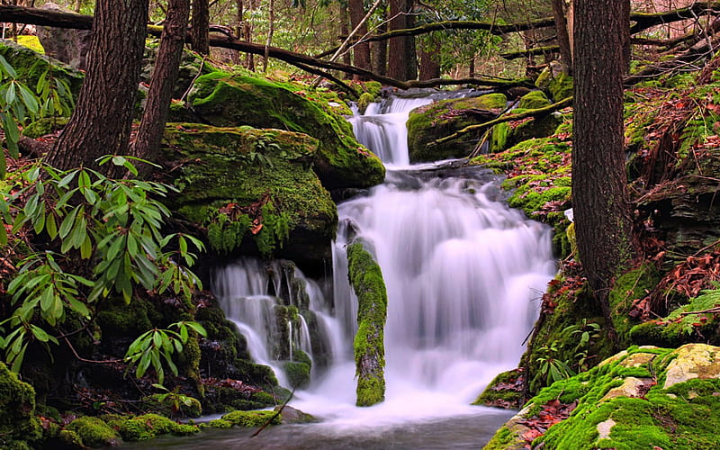 Falls Creek Pennsylvania Usa Forest Waterfall Nature Hd Wallpaper