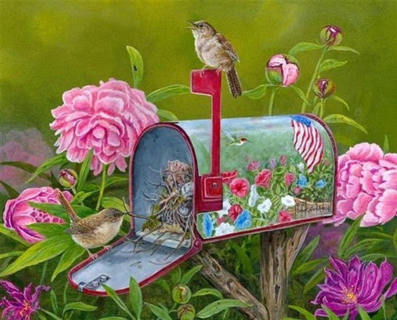 Beautiful mail box, mail box, cat, bird, patriotic, HD wallpaper