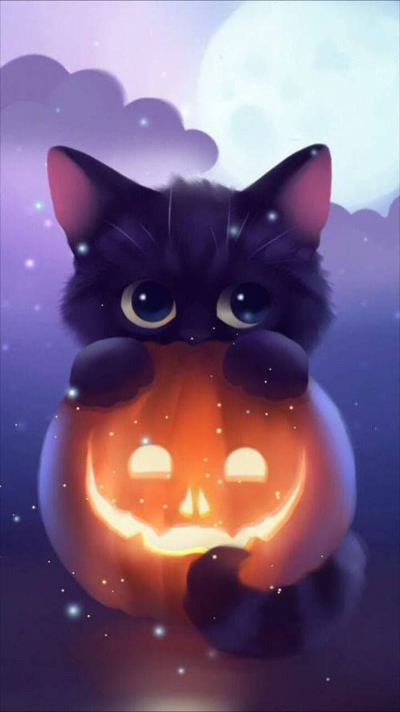 Cute pumpkin cat, scary, skull, stay, world, halloween , destiny, halloween, hunter, witch, HD phone wallpaper