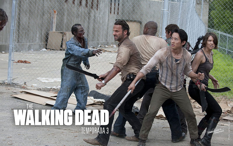 The Walking Dead-American TV series 13, HD wallpaper
