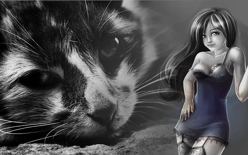 My Sweet Pussy Fantasy Nice Cat Girl Hd Wallpaper Peakpx