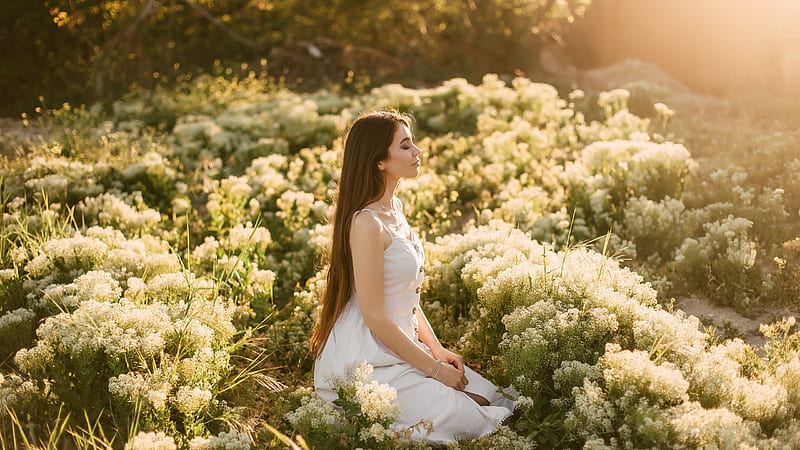 Beautiful Girl Model Is Sitting In White Flowers Field Wearing White Dress With Sunbeam On Face Girls, HD wallpaper