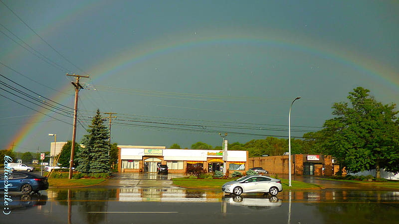 The Whole (Double) Rainbow, reflections, pavement, automobiles, co1orful, buildings, rainbow, trees, wires, carros, rainbows, double rainbow, natura1, Traffic Signals nSigns, HD wallpaper
