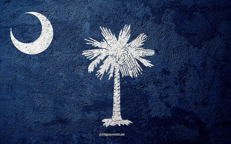 Flag of State of South Carolina, concrete texture, stone background, South Carolina flag, USA, South Carolina State, flags on stone, Flag of South Carolina, HD wallpaper