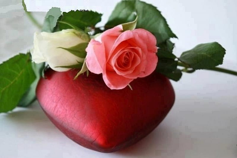 Bonito, roses, corazones, love, HD wallpaper | Peakpx