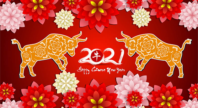 Chinese New Year, gold, happy, ox, red, HD wallpaper