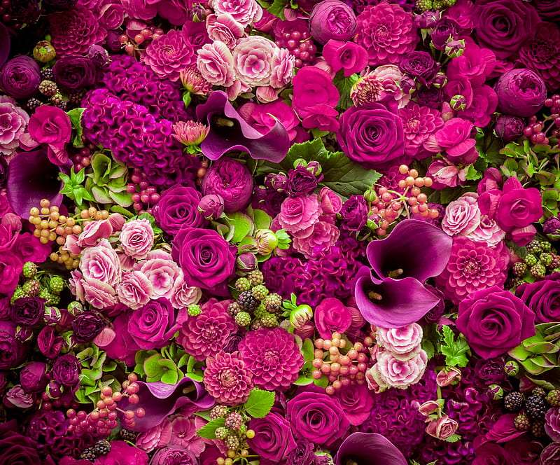 Flowers and berries, texture, flower, skin, pink, carpet, rose, fruit, vara, green, berry, summer, HD wallpaper