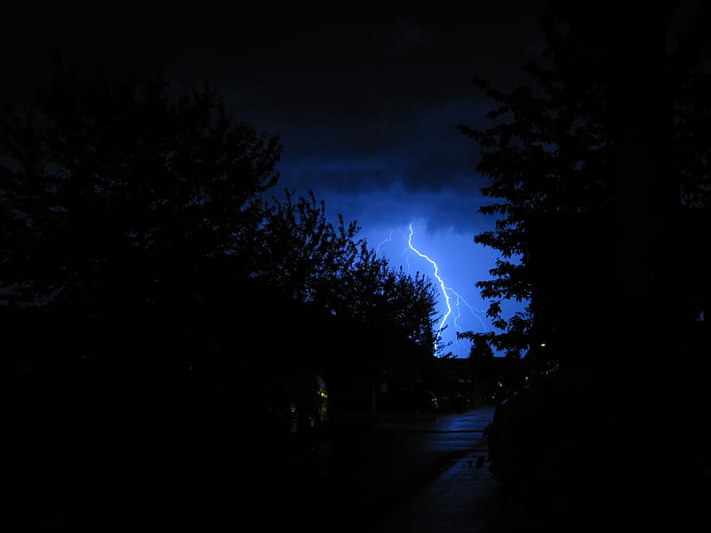 lightning, night, trees, sky, overcast, dark, HD wallpaper